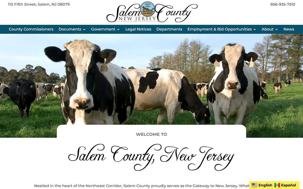 Salem County family court records clerk office